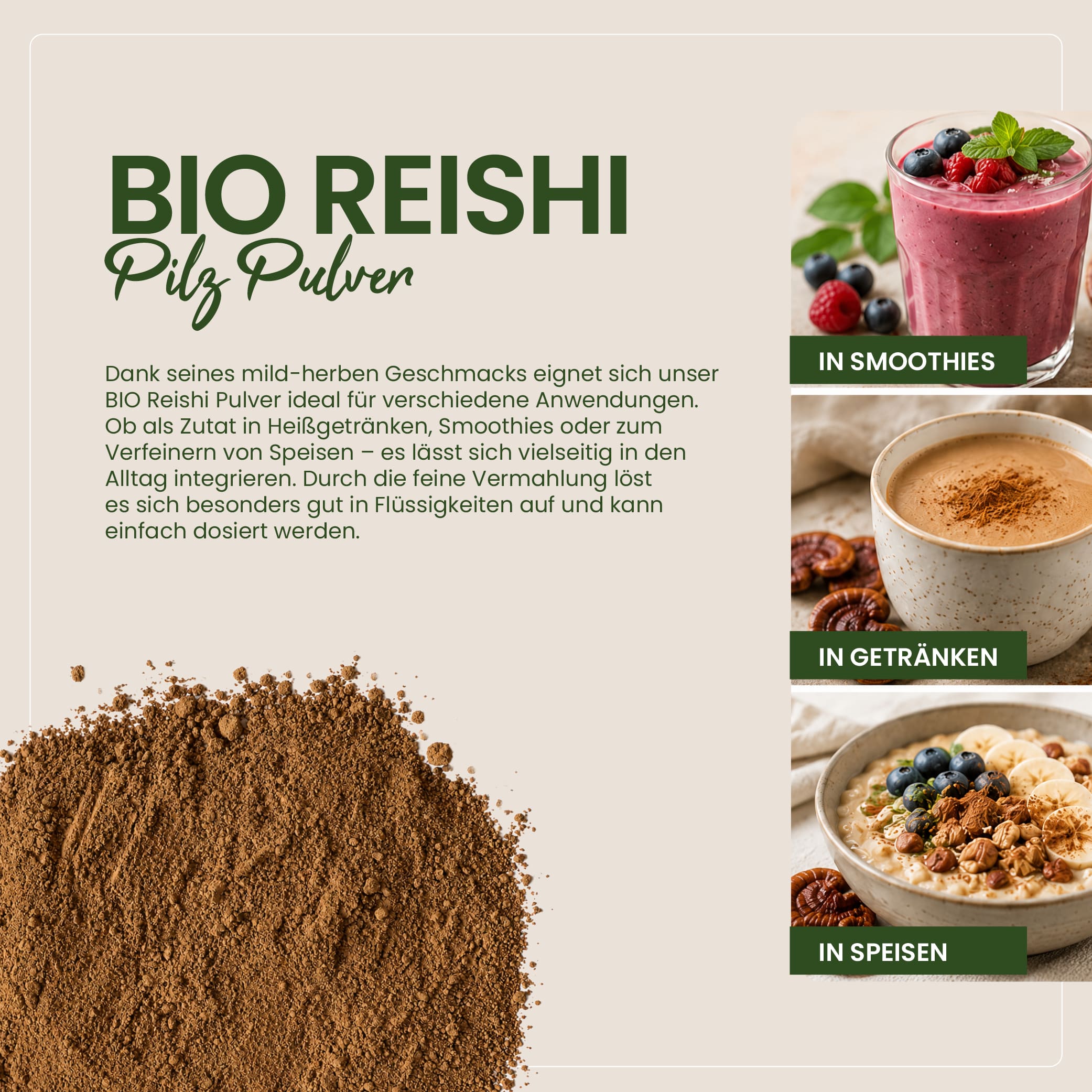 BIO Reishi Pulver