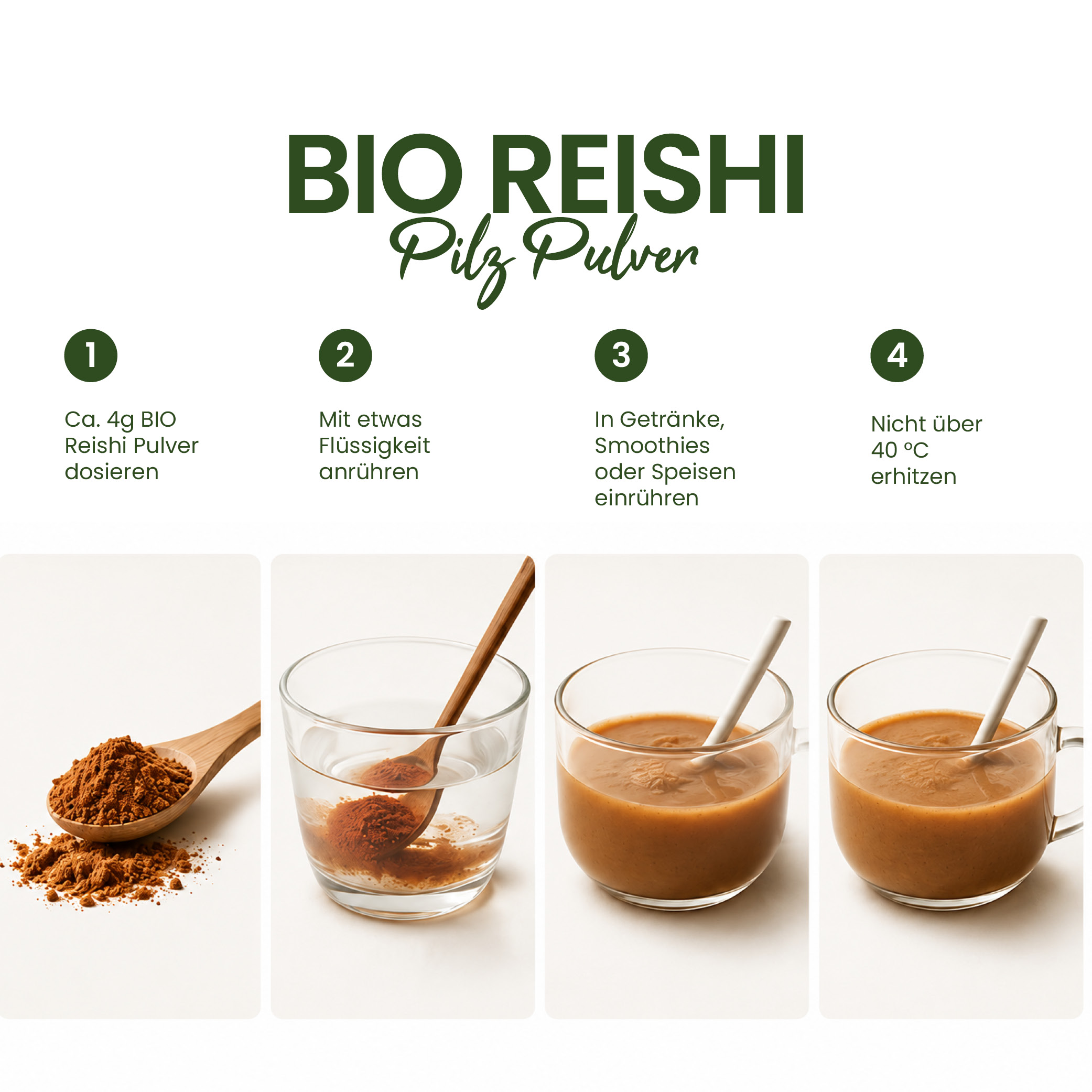 BIO Reishi Pulver