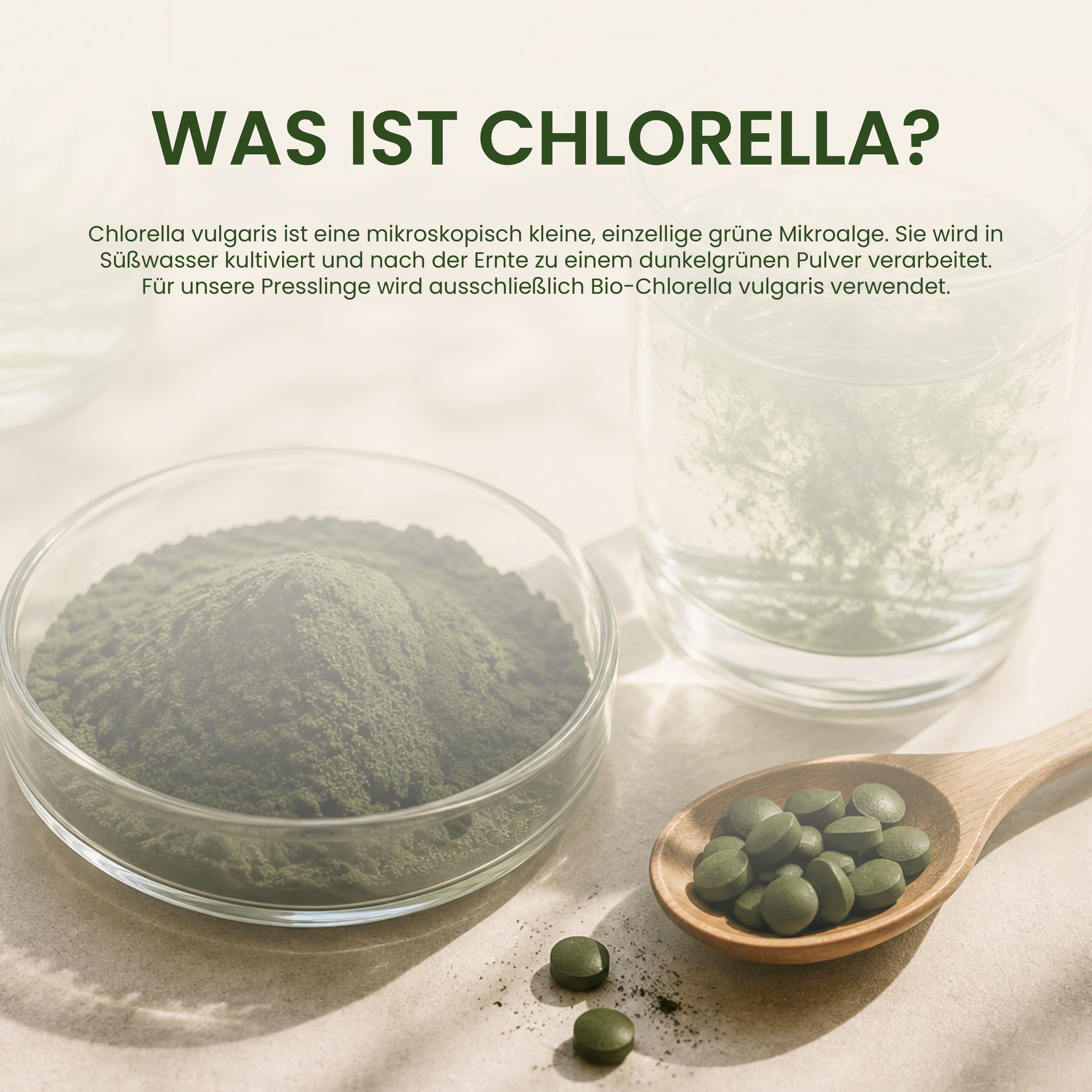 BIO Chlorella Presslinge