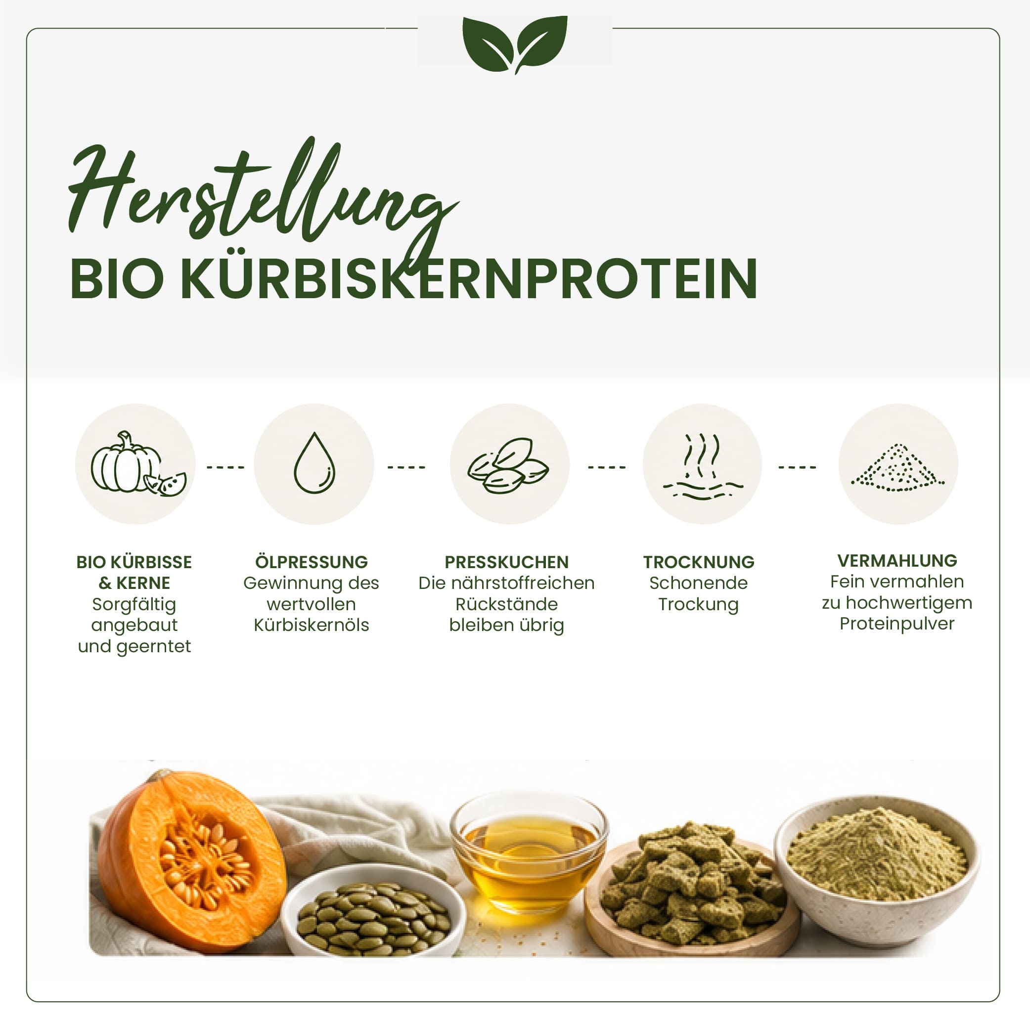 BIO Kürbiskernprotein