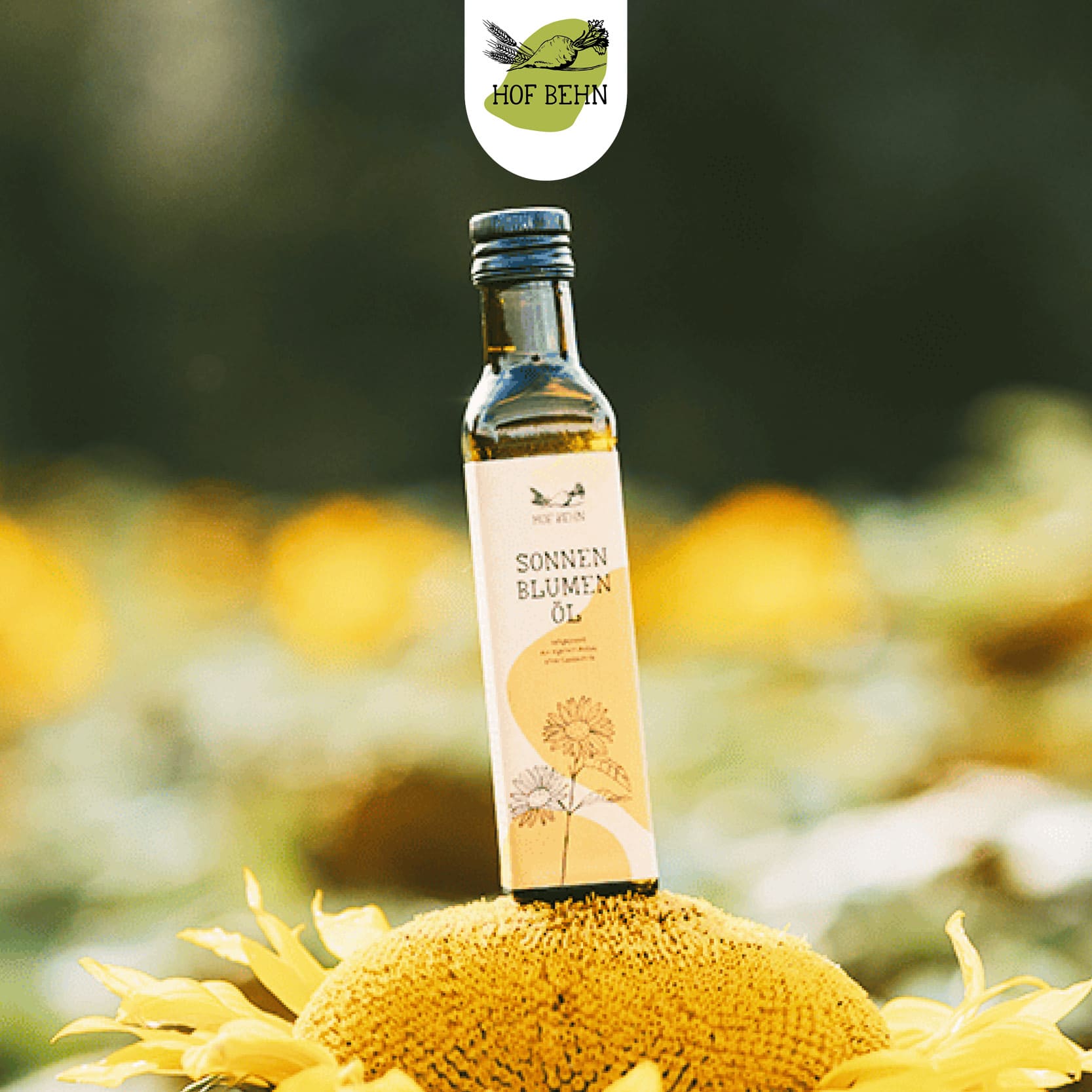 Sonnenblumenöl