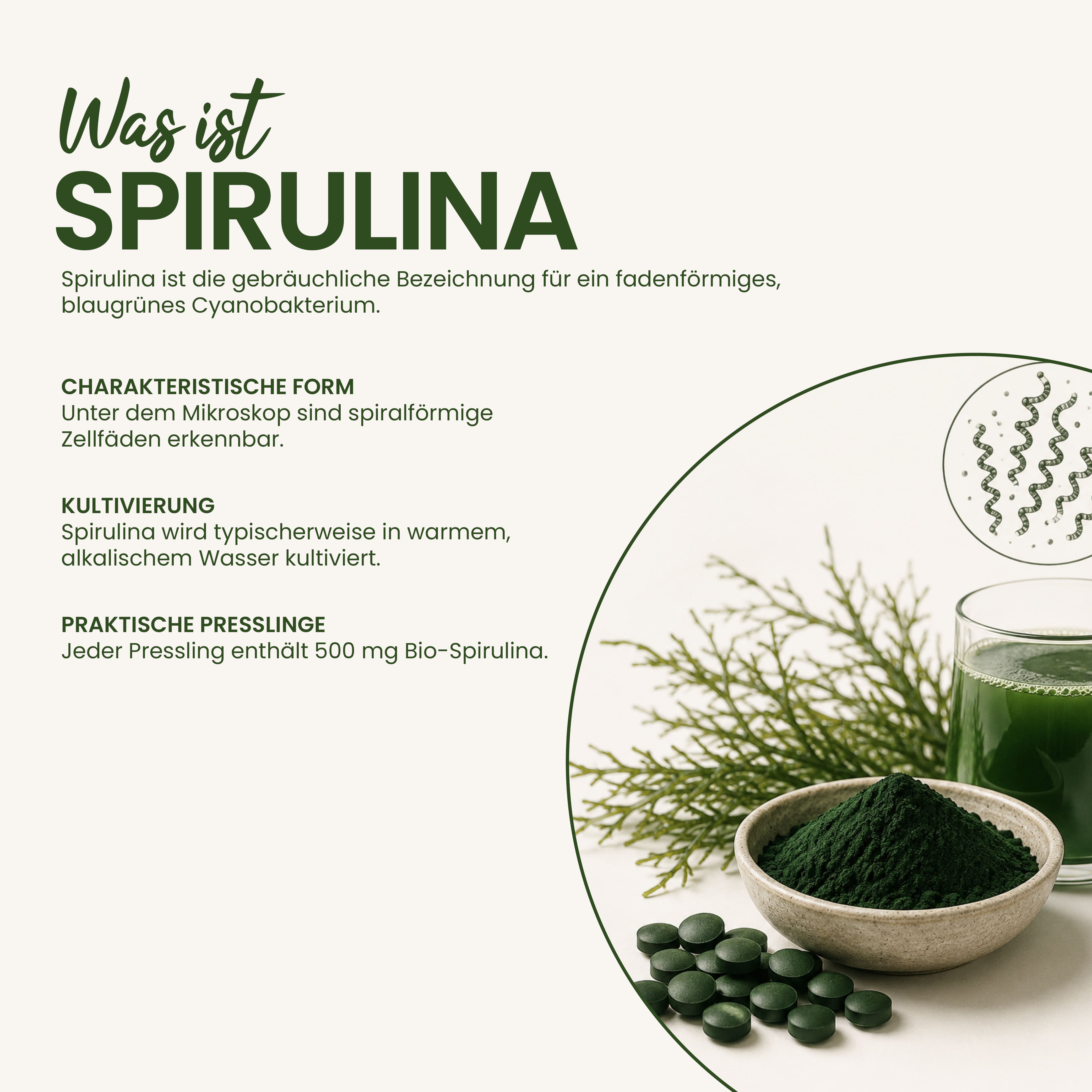 BIO Spirulina Presslinge