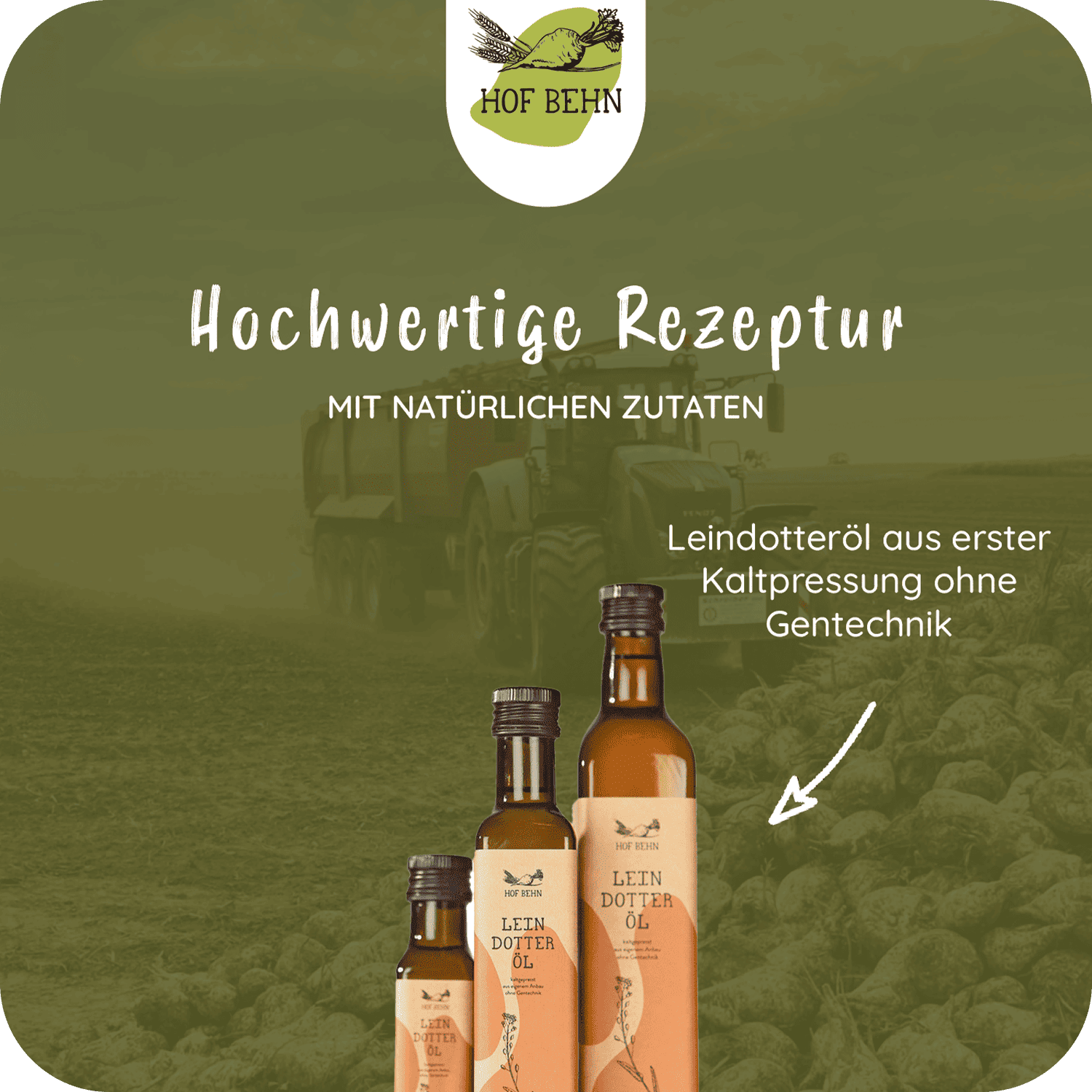 Leindotteröl