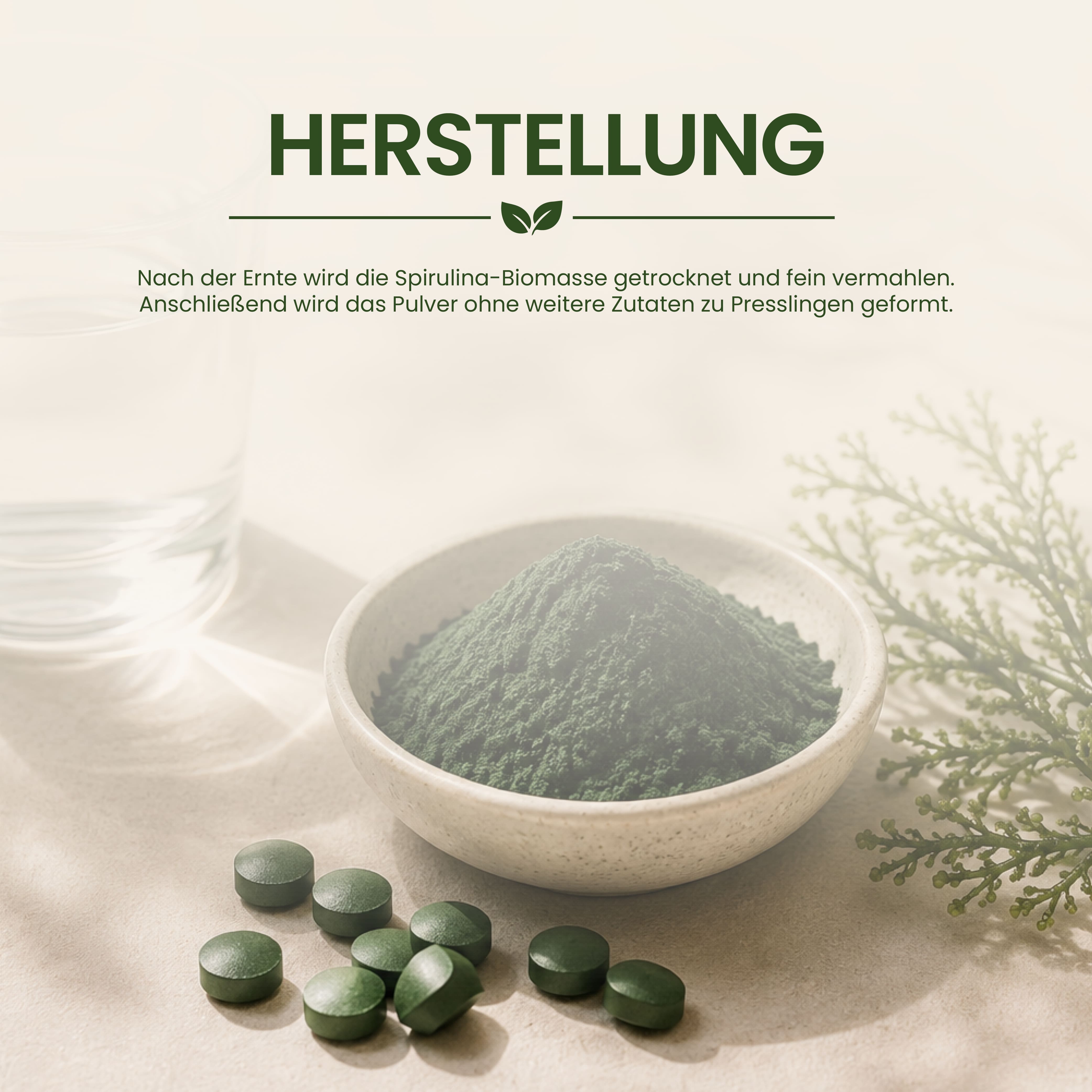 BIO Spirulina Presslinge