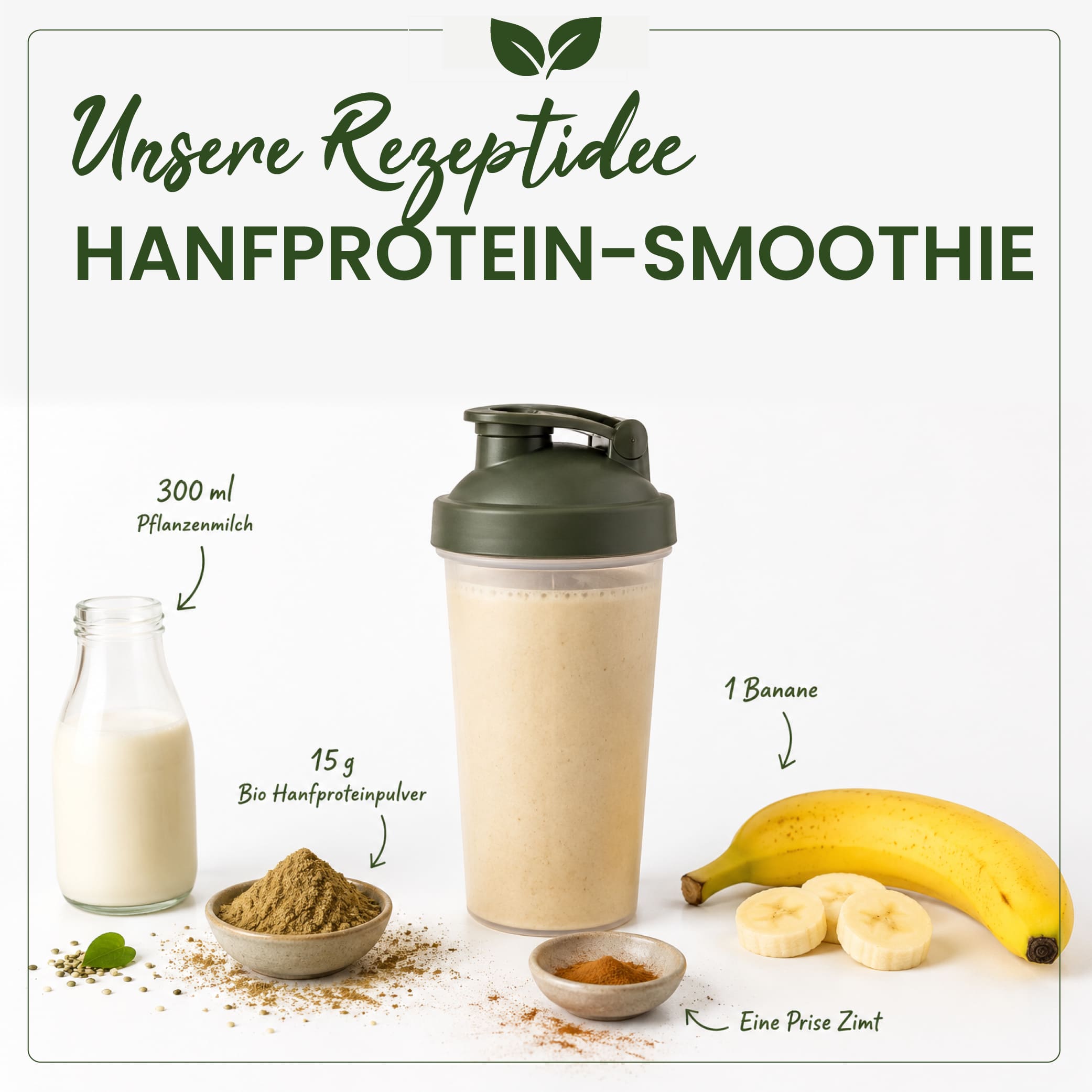 BIO Hanfprotein