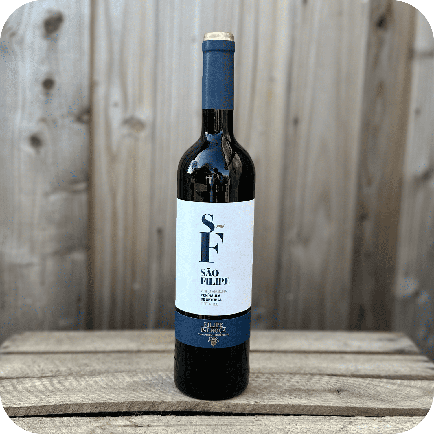 Sao Filipe tinto