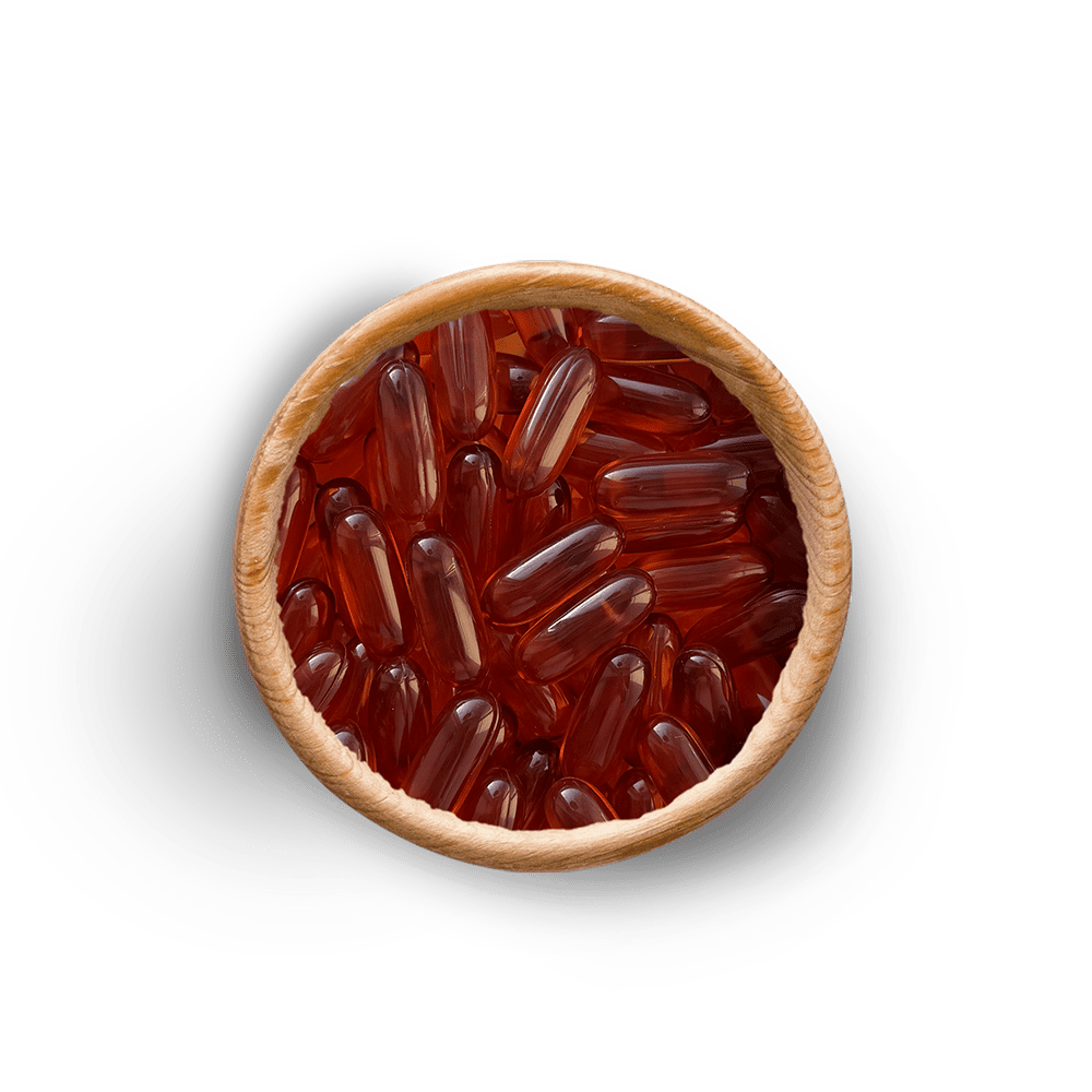Lecithin
