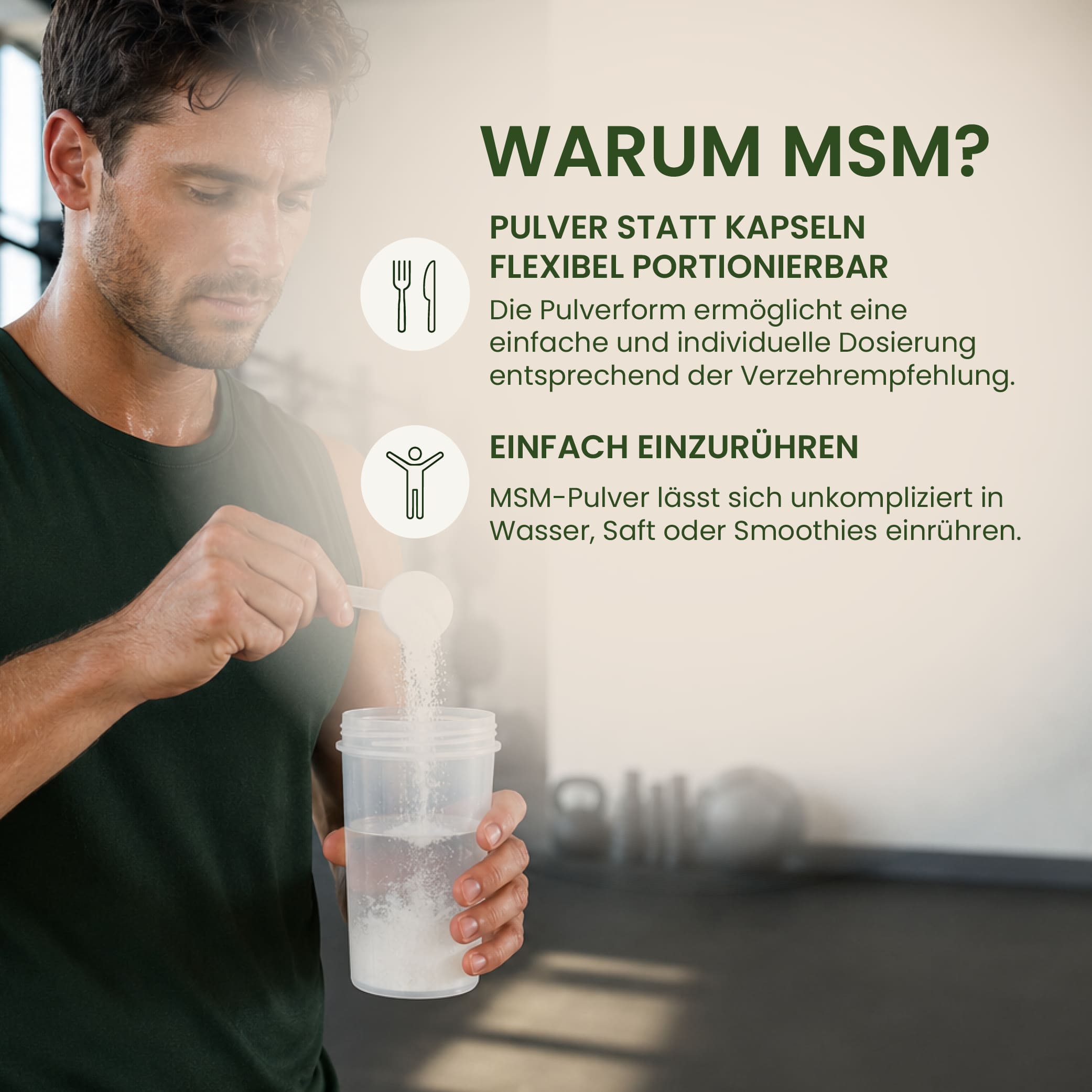 MSM Pulver