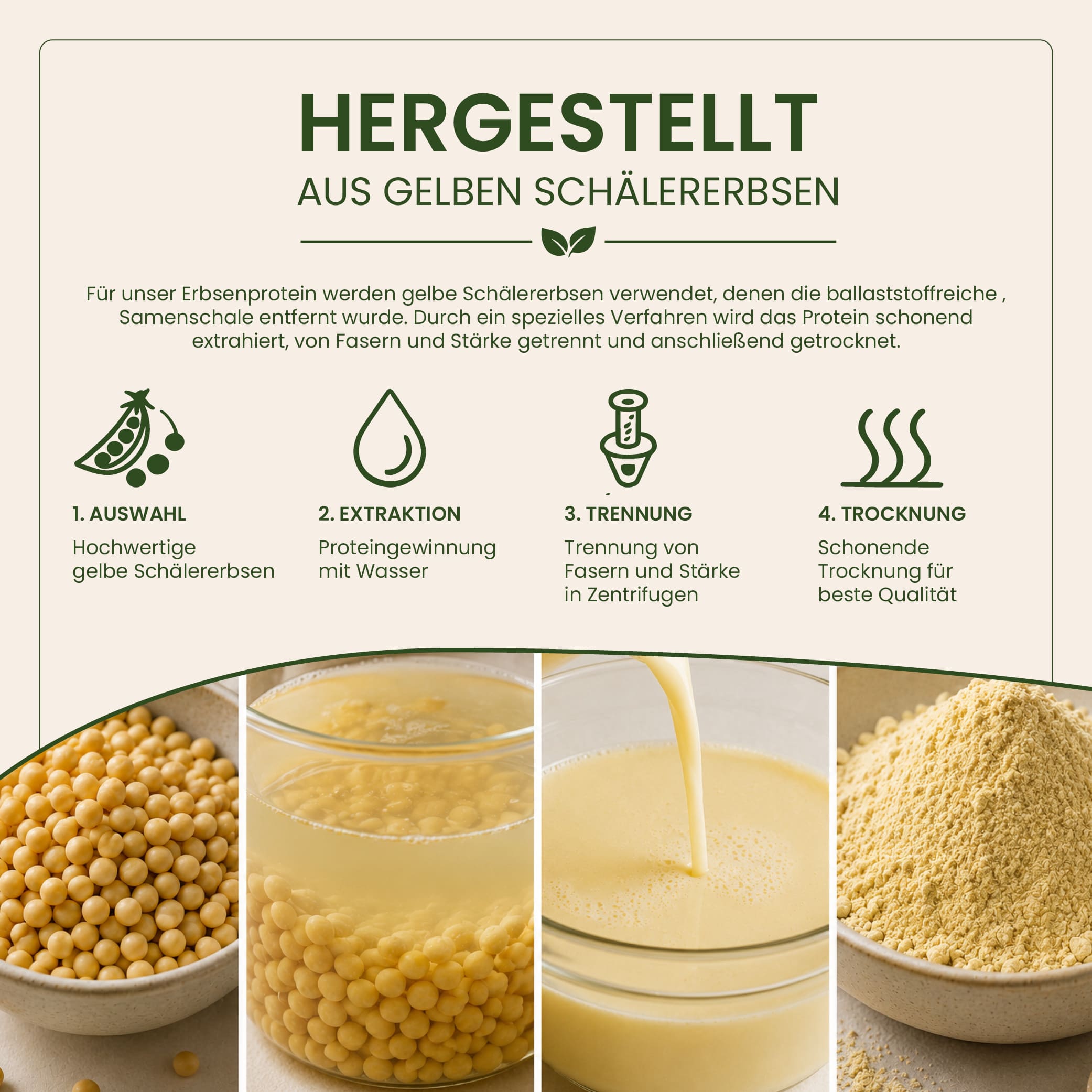 Erbsenprotein Pulver