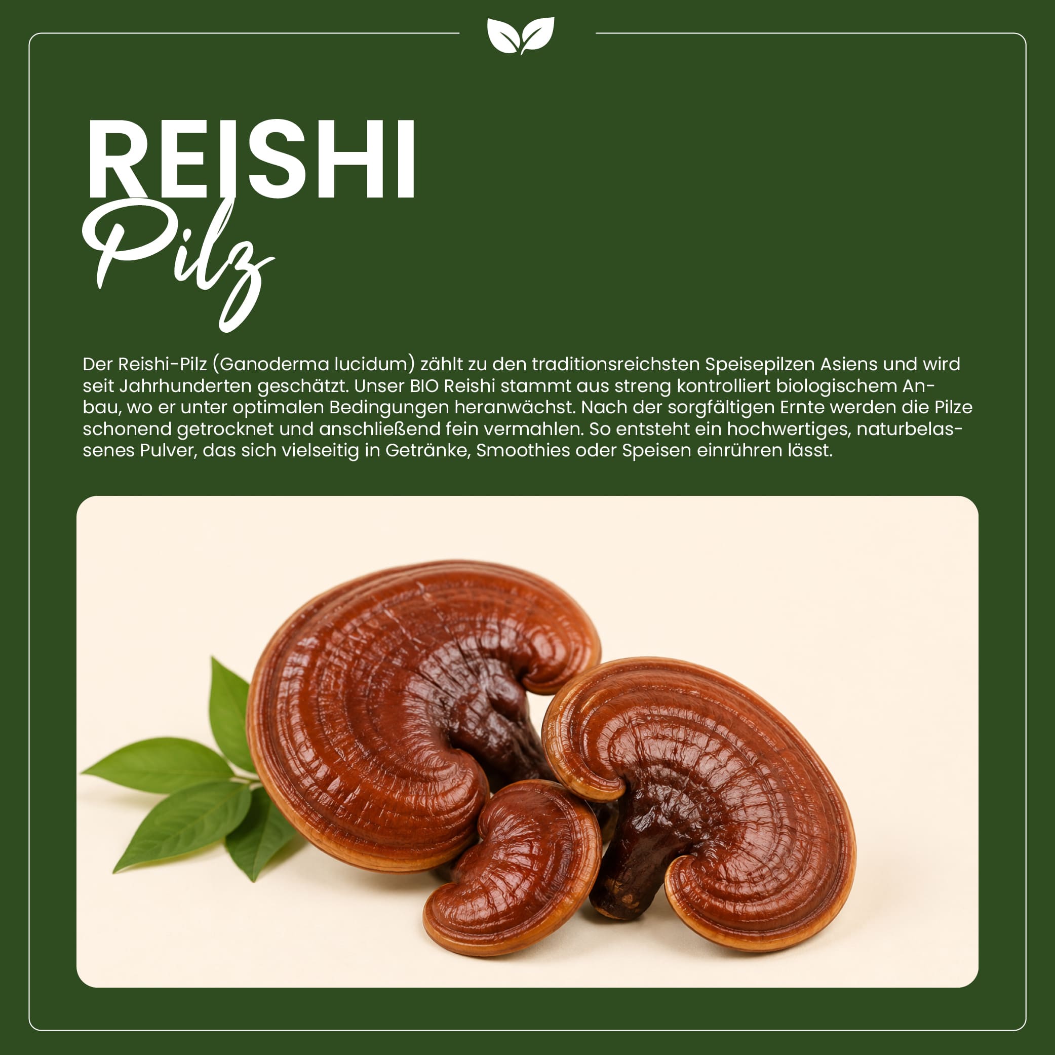 BIO Reishi Pulver