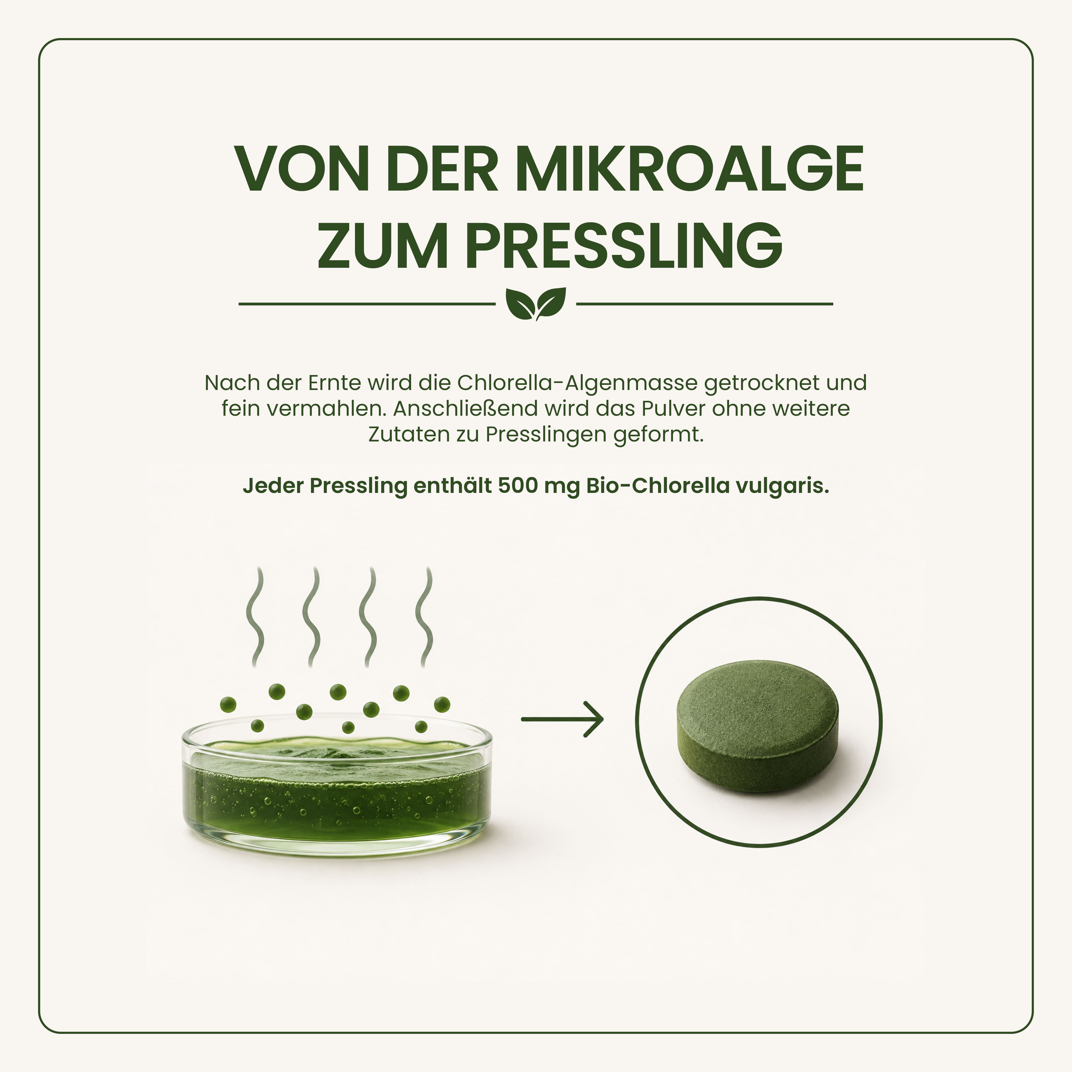 BIO Chlorella Presslinge