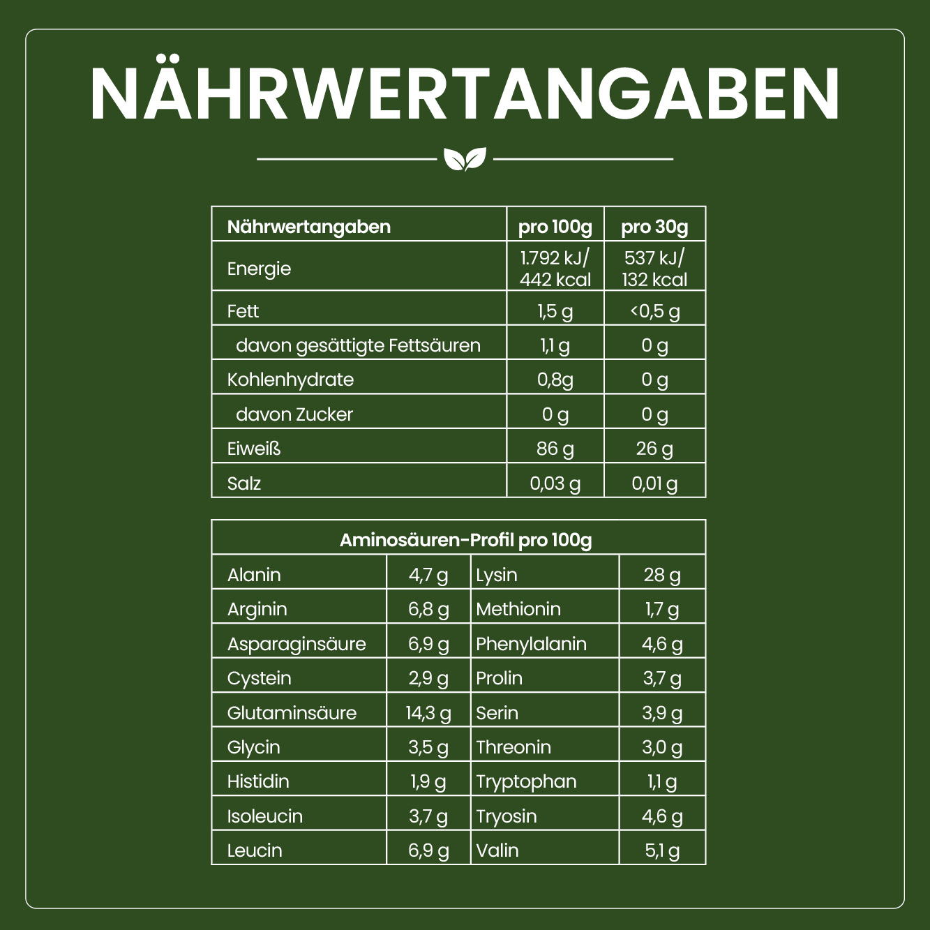 Reisprotein Pulver